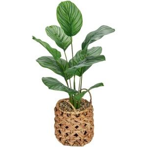 18" Indoor Plant Fiddle Leaf Ficus Tree, Artificial, in Woven Basket + Free Ship